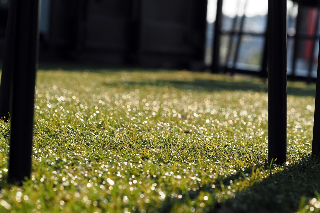 field with Artificial grass